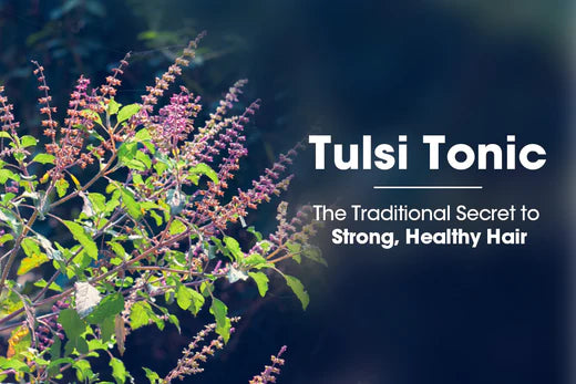 Tulsi Tonic: The Sacred Herb That Beautifies and Protects Skin
