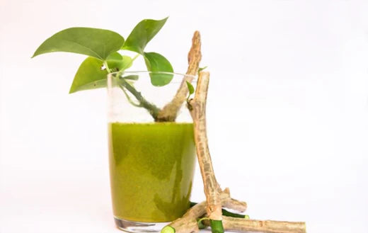 Giloy - The Unsung Hero of Herbs