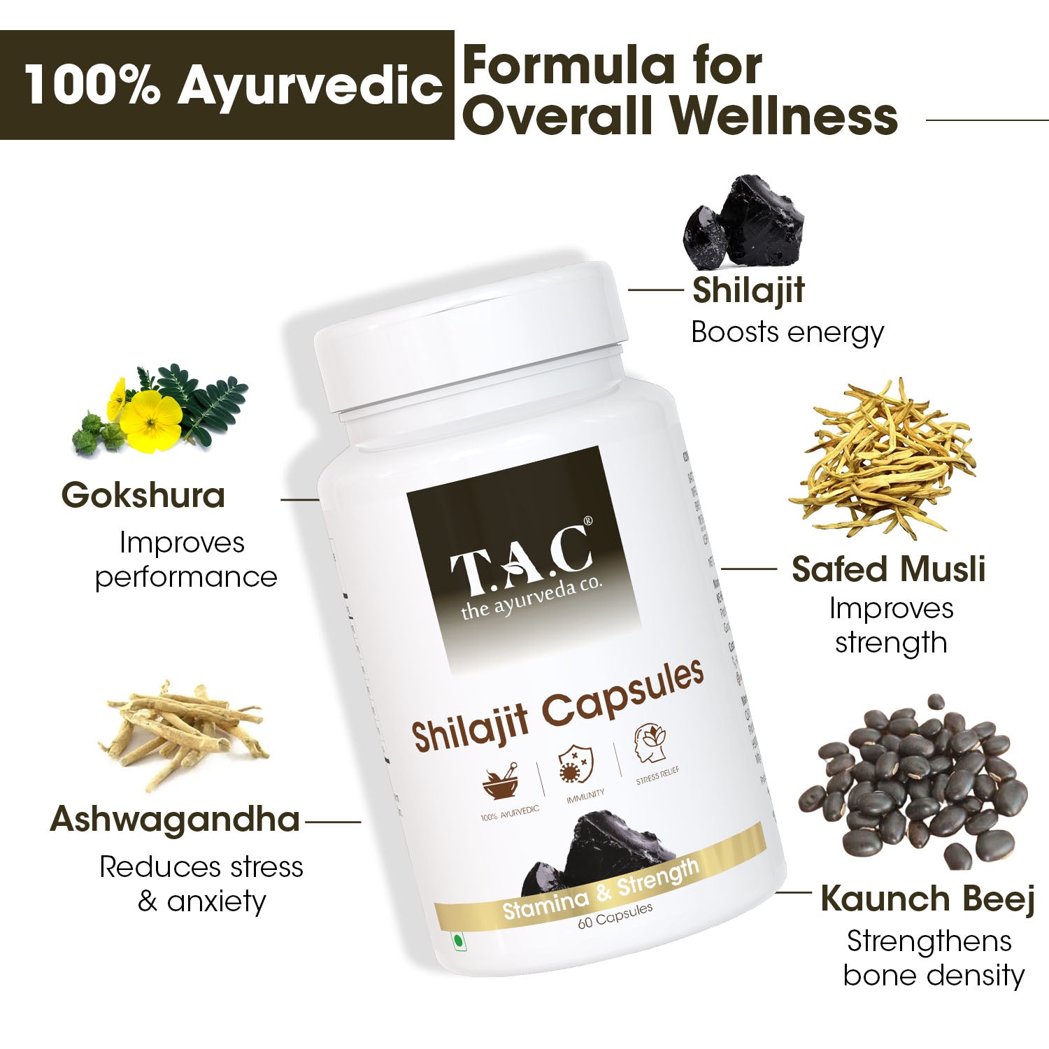 100% Ayurvedic Shilajit Capsule