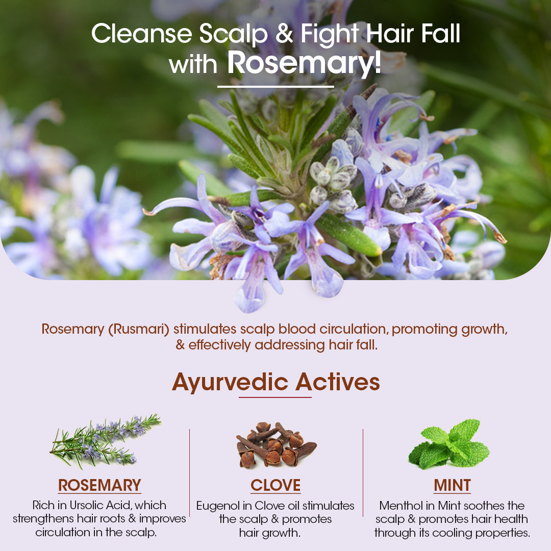 Rosemary Anti-Hair Fall Hair Oil